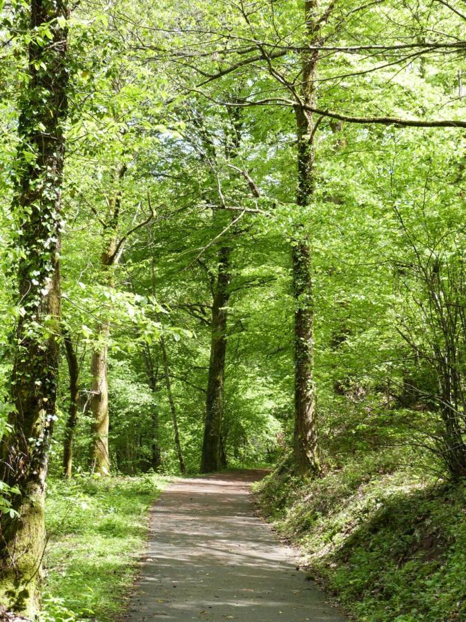 Lumineuse Maison Neuve, Cosy,67M², 2 Chambres/6 Couchages 1Km Lac, 200M Du Bourg. Vue Paisible, Sur La Nature Saint-Pardoux-lʼOrtigier エクステリア 写真